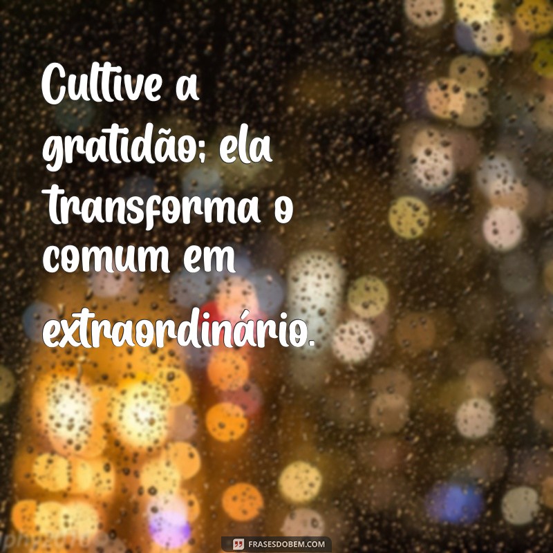 Frases Inspiradoras para Viver a Vida Intensamente: Descubra o Poder do Agora 