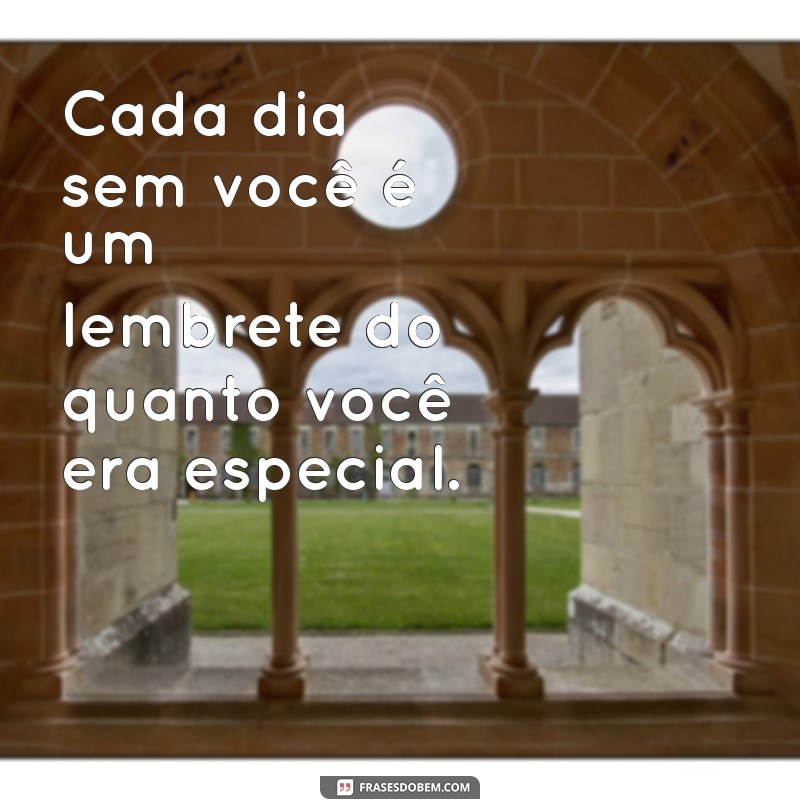 Frases Comoventes para Homenagear um Ent querido que Partiu 