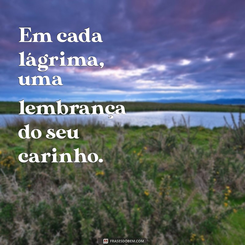 Frases Comoventes para Homenagear um Ent querido que Partiu 