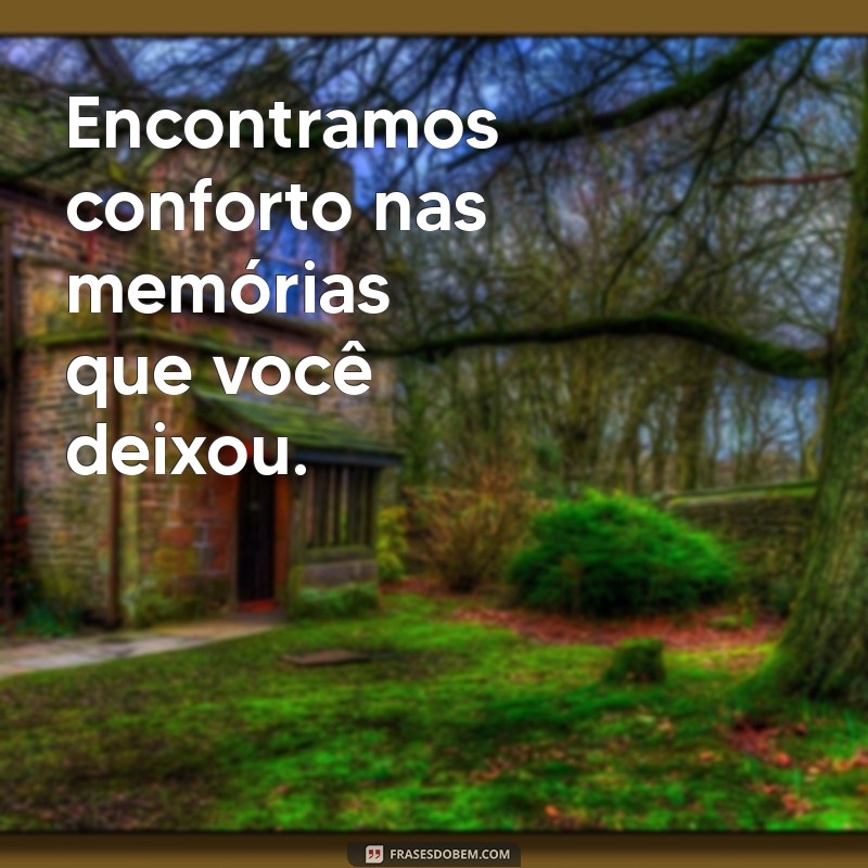 Frases Comoventes para Homenagear um Ent querido que Partiu 