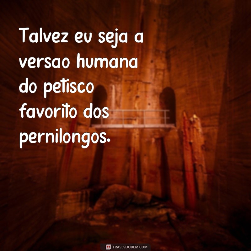 Descubra as melhores frases sobre o seu sangue, até os pernilongos se encantam! 