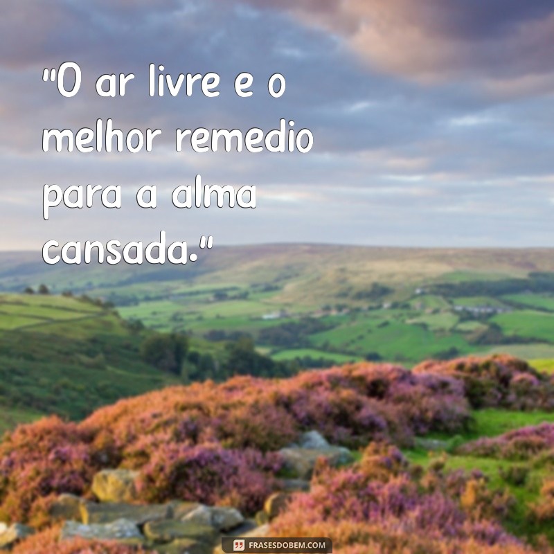 frases sobre ar livre 