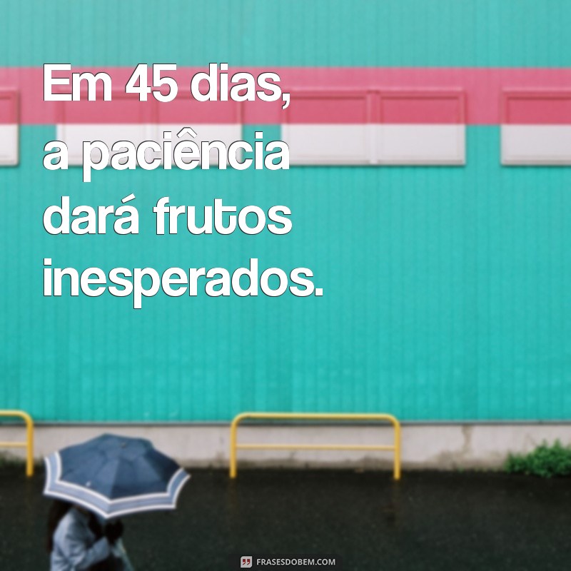 Transforme sua Vida em 45 Dias: Dicas e Estratégias para Mudanças Positivas 