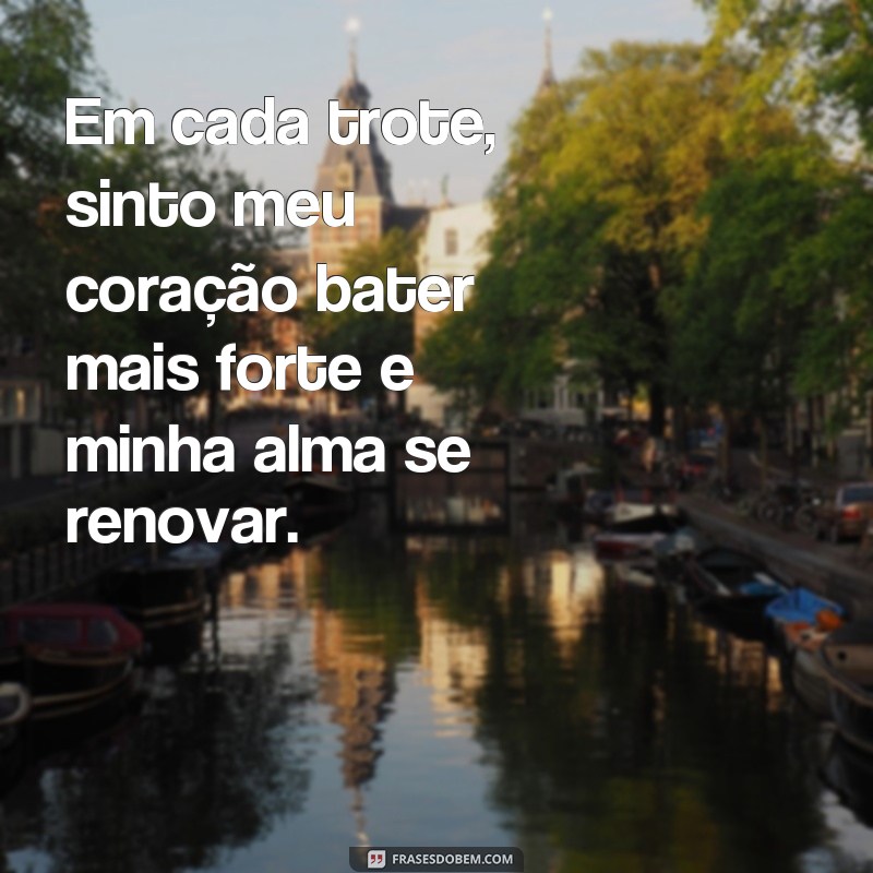 Descubra as melhores frases de cavalo para inspirar seu perfil no Tumblr 