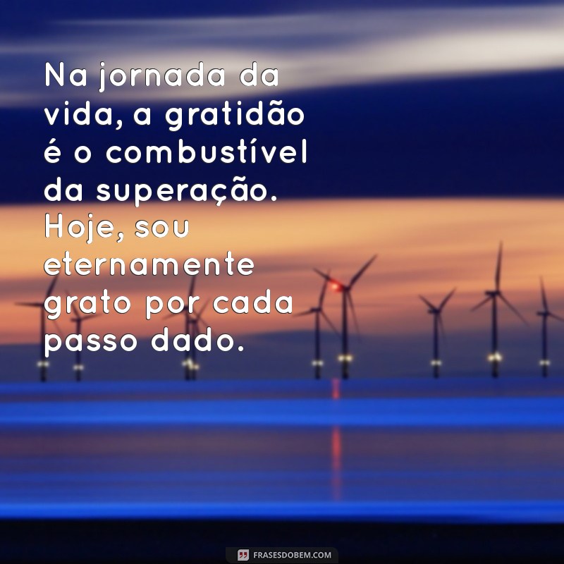 Frases Inspiradoras de Superação e Gratidão para Transformar sua Vida 