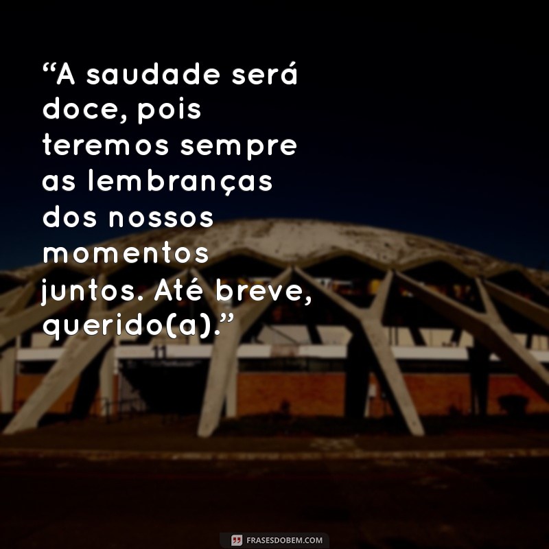 Despedida de Amor: Mensagens Emocionantes para Dizer Adeus com Coração 