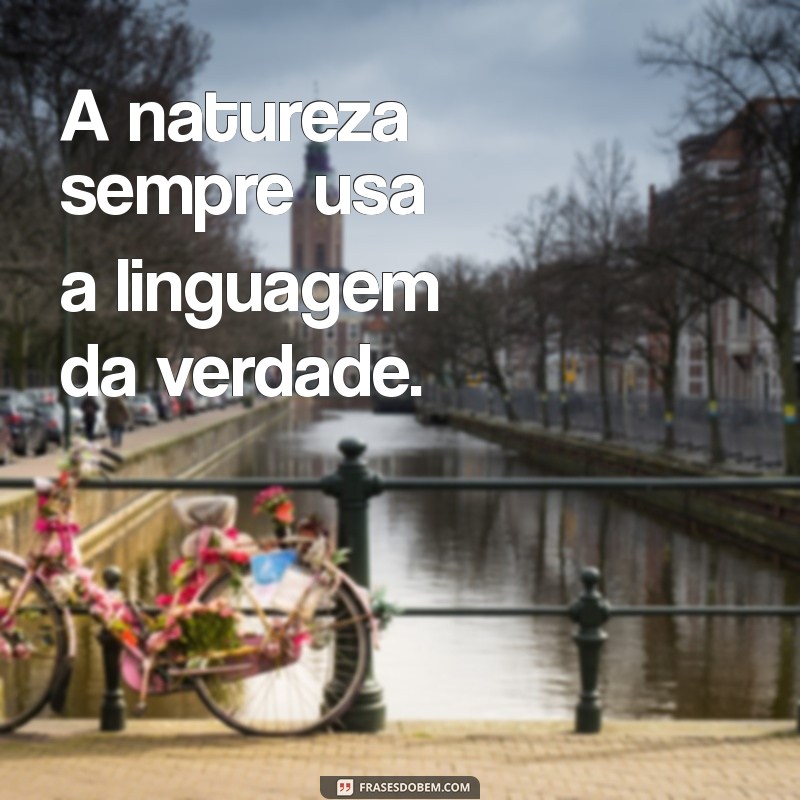 Descubra as Melhores Frases de Ralph Waldo Emerson para Inspirar sua Vida 