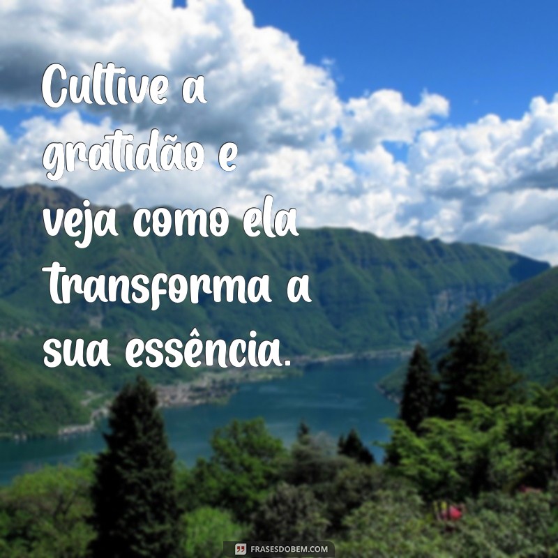 Celebre o Dia dos Lindos: Mensagens Inspiradoras e Frases para Comemorar a Beleza 