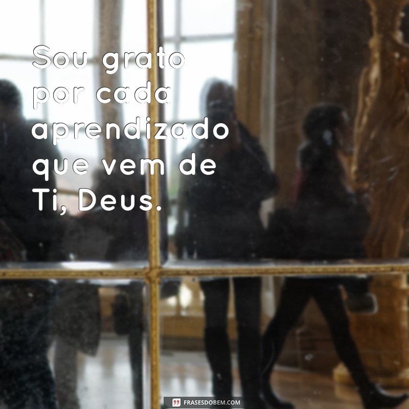 Frases Curtas de Gratidão a Deus para Inspirar Sua Fé 