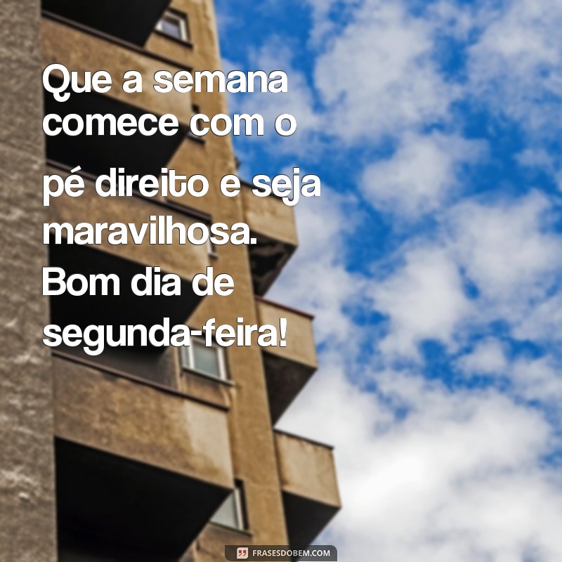 Comece sua semana com positividade: confira as melhores frases de bom dia para segunda-feira 