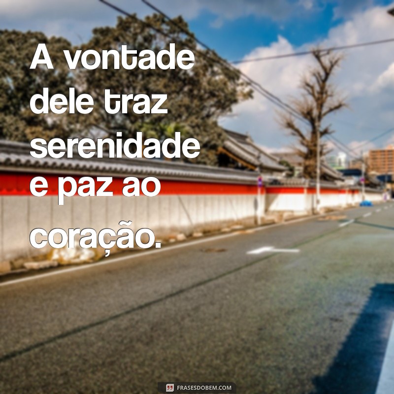 a vontade dele é boa perfeita e agradável A vontade dele traz serenidade e paz ao coração.