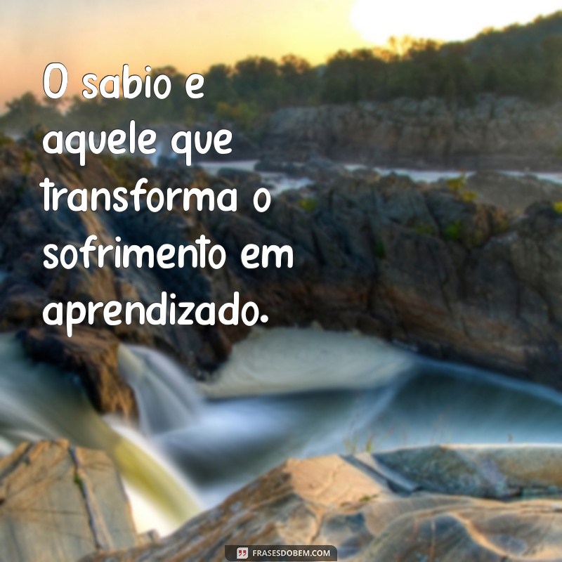 Frases Inspiradoras do Estoicismo para Transformar sua Mentalidade 