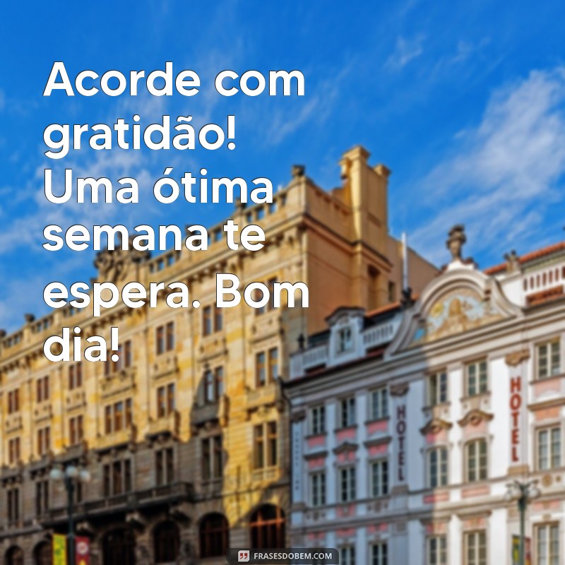 Mensagem de Bom Dia: Inspire uma Ótima Semana com Frases Motivacionais 