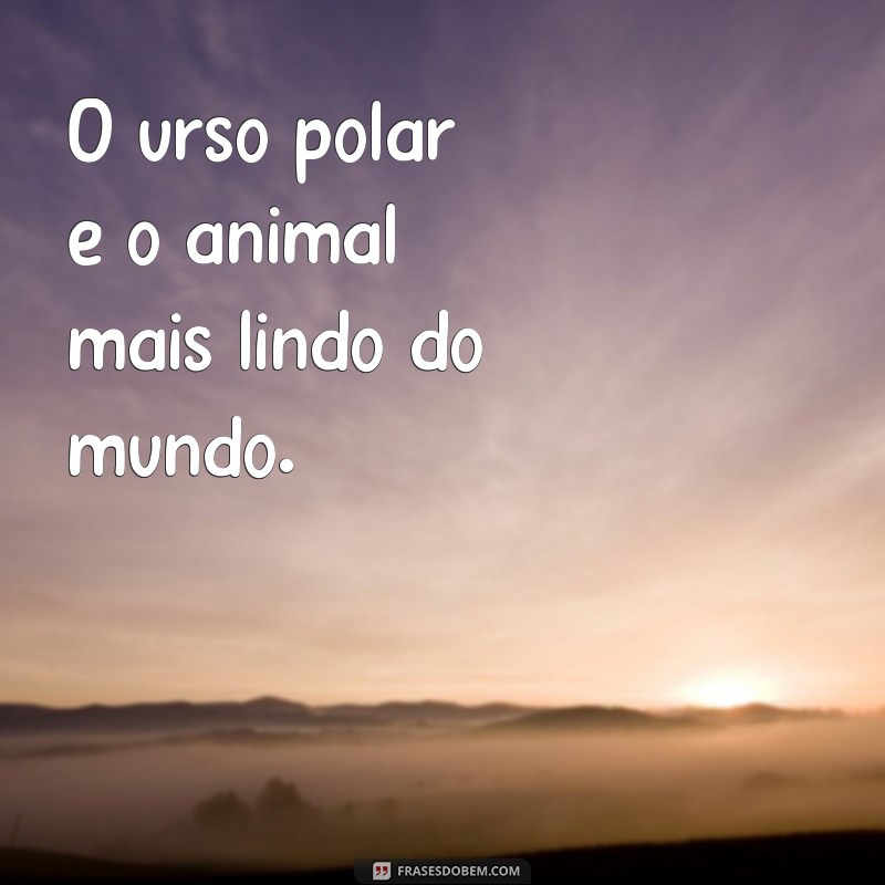 Descubra as 26 frases mais encantadoras sobre os animais mais lindos do mundo 