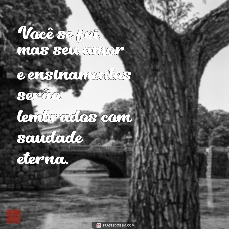 Emocionantes frases de saudades eternas para homenagear a mãe 