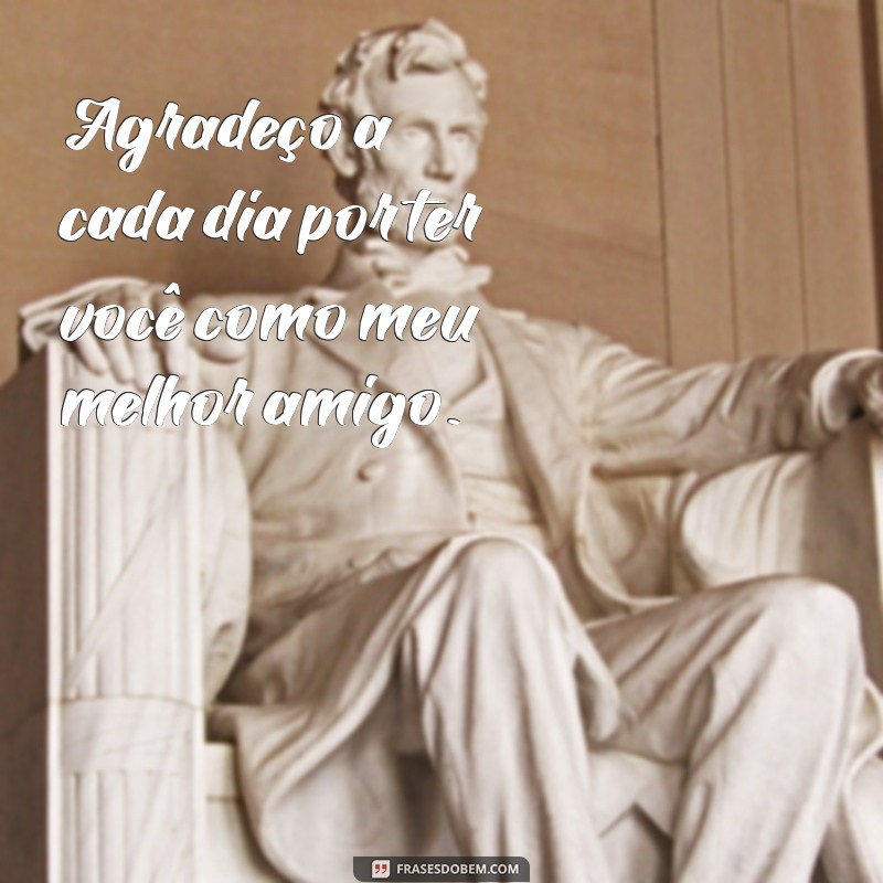 As Melhores Frases para Celebrar a Amizade: Mensagens Incríveis para seu Melhor Amigo 