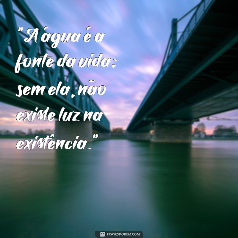 frases agua e vida 