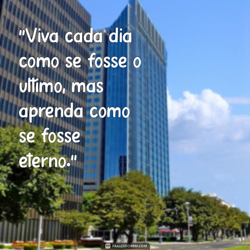 aplicativo de frases 