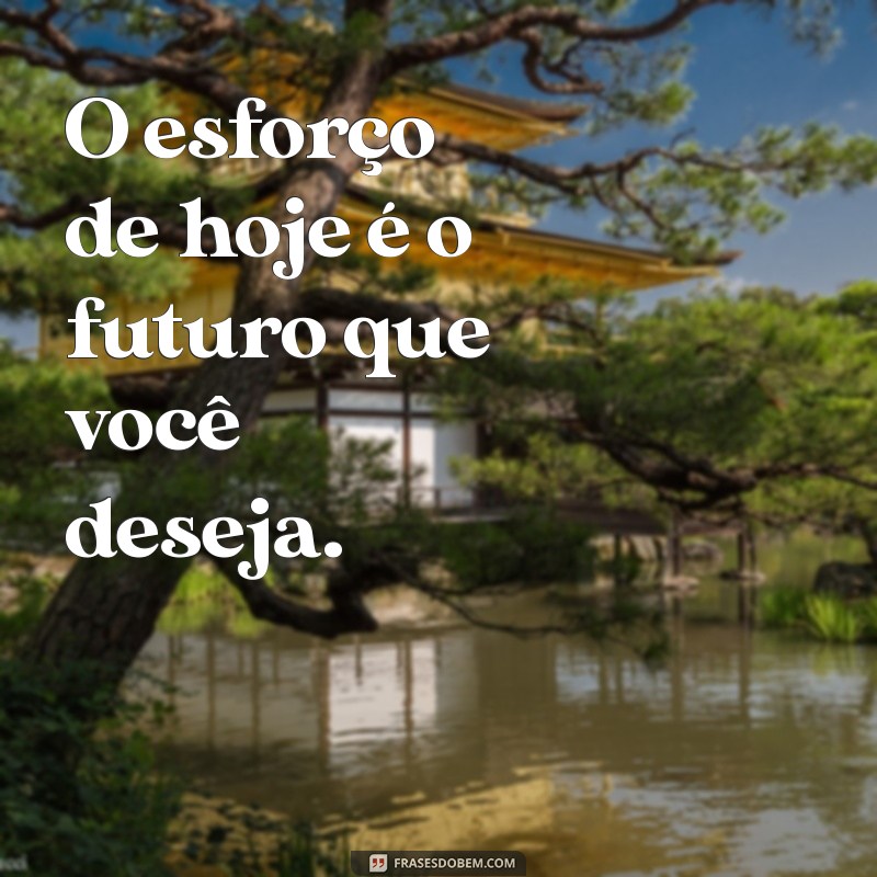 27 Frases Inspiradoras para Potencializar sua Motivação nos Treinos 