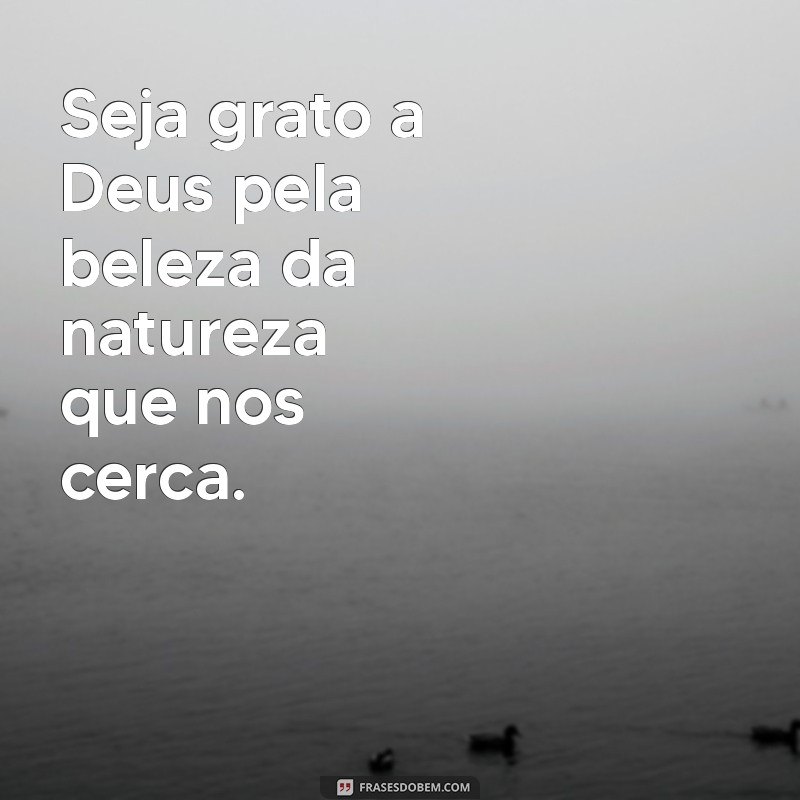 10 Razões para Ser Grato a Deus em Todos os Momentos 