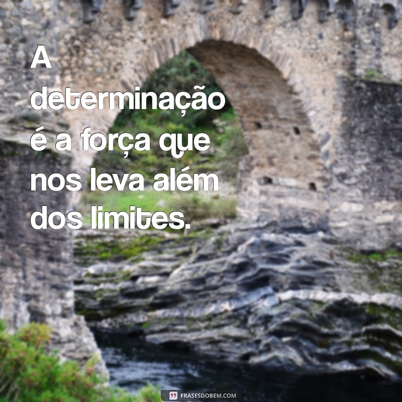 Versículos Inspiradores: Encontre Sabedoria e Conforto nas Escrituras 