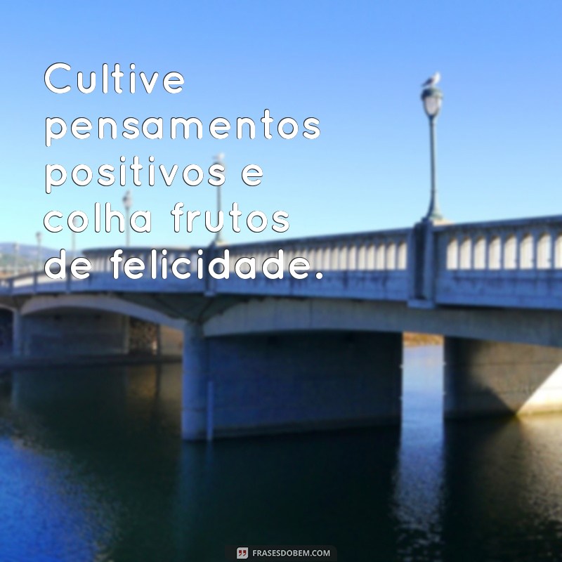 Frases Bonitas do Dia para Inspirar e Motivar 