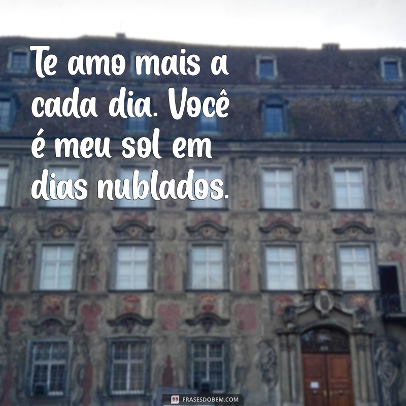 mensagem para meu esposo amado Te amo mais a cada dia. Você é meu sol em dias nublados.