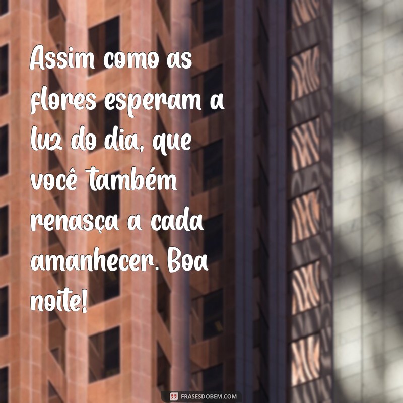 Frases Encantadoras para Desejar Boa Noite com Flores 