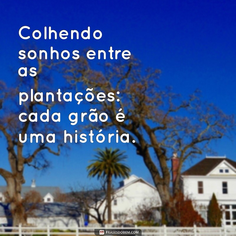 Descubra as Melhores Fotos de Fazenda: Inspirações e Dicas para Capturar a Beleza Rural 