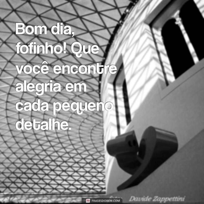 Bom Dia Fofinho: Frases Inspiradoras para um Domingo Perfeito 