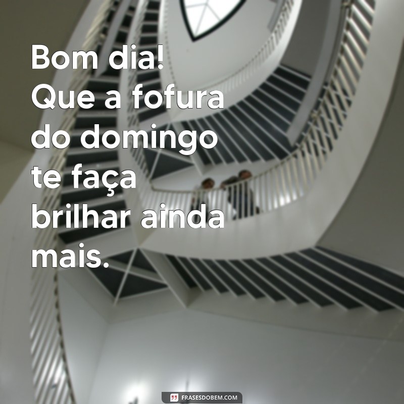 Bom Dia Fofinho: Frases Inspiradoras para um Domingo Perfeito 