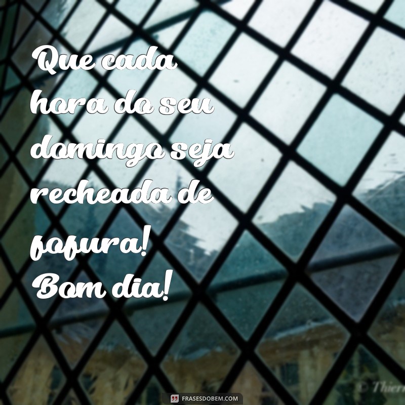 Bom Dia Fofinho: Frases Inspiradoras para um Domingo Perfeito 