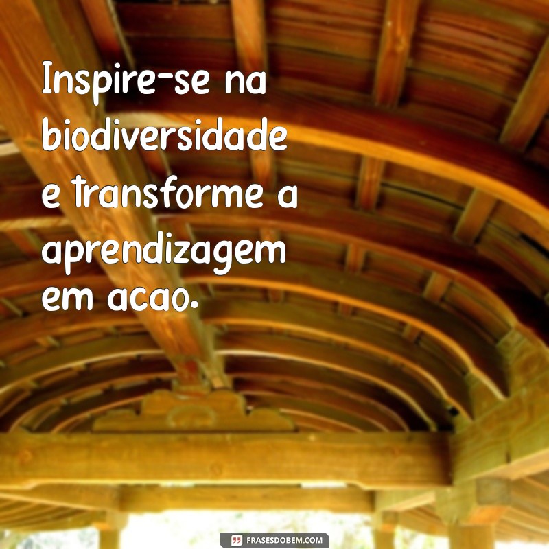 Frases Inspiradoras sobre o Meio Ambiente para o Ambiente Escolar 