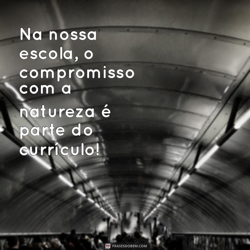 Frases Inspiradoras sobre o Meio Ambiente para o Ambiente Escolar 