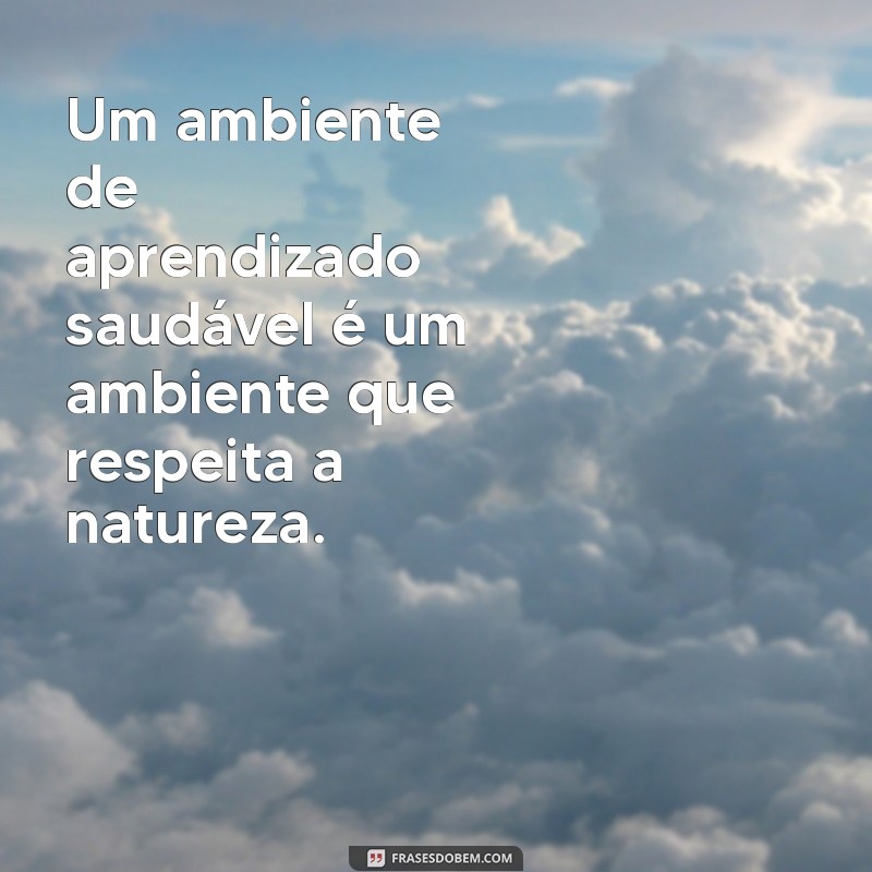 Frases Inspiradoras sobre o Meio Ambiente para o Ambiente Escolar 