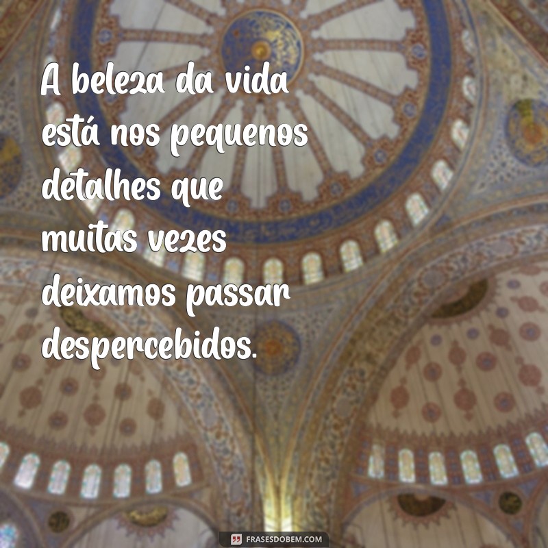 frases sobre detalhes da vida A beleza da vida está nos pequenos detalhes que muitas vezes deixamos passar despercebidos.