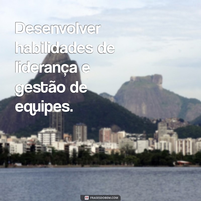 objetivo proficional Desenvolver habilidades de liderança e gestão de equipes.