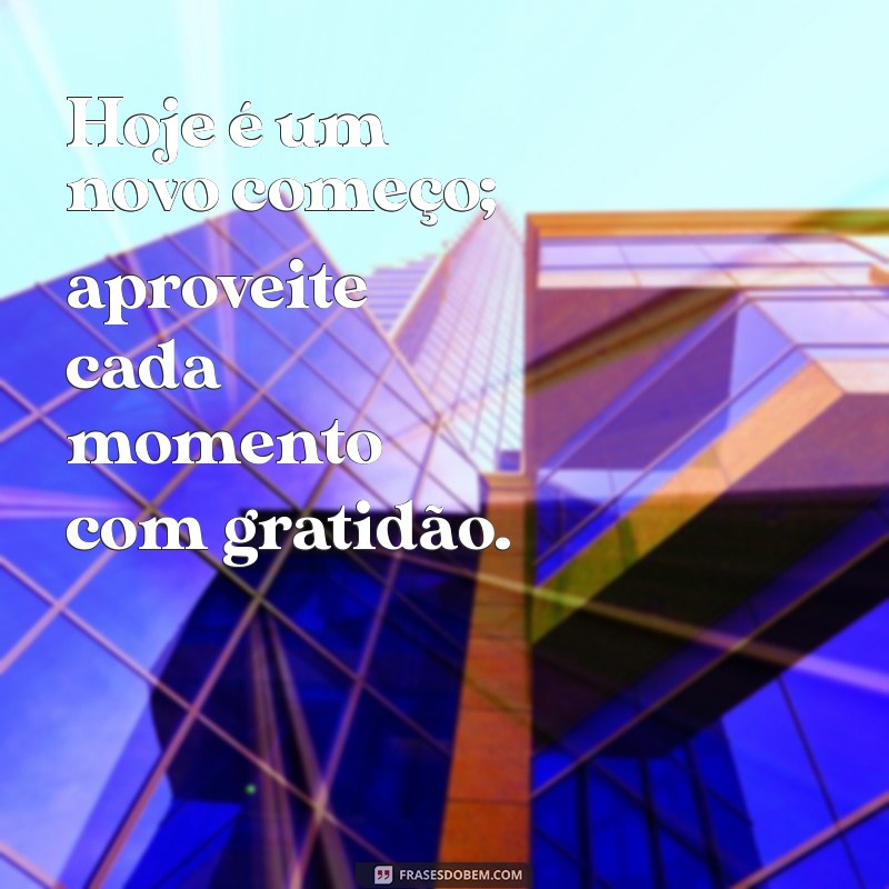 pensamento do dia positivo Hoje é um novo começo; aproveite cada momento com gratidão.