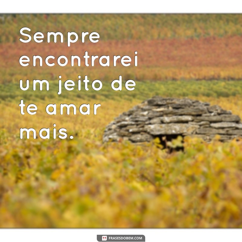 Frases Curtas de Amor: Declare Seus Sentimentos com Simplicidade 