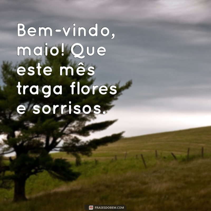 frases de bem vindo maio Bem-vindo, maio! Que este mês traga flores e sorrisos.