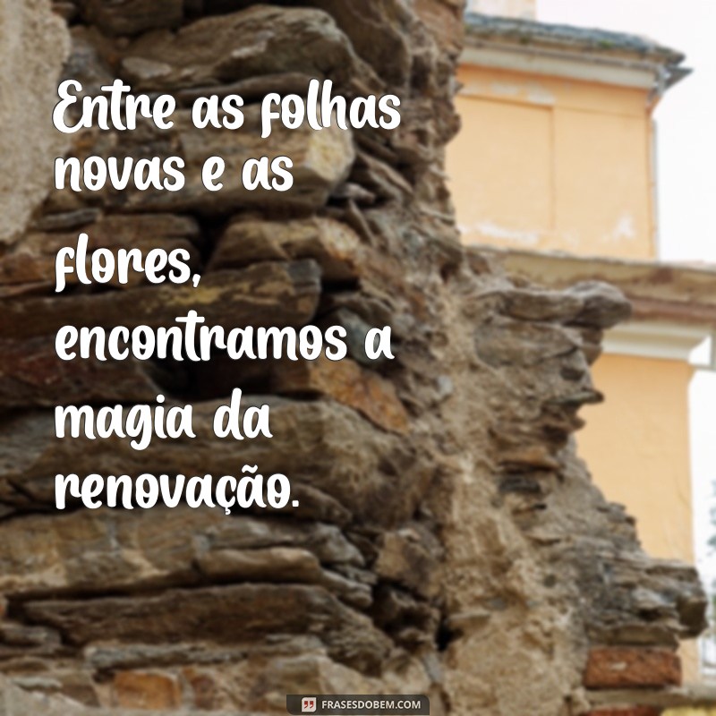 Frases Inspiradoras para Celebrar a Primavera: Renove Sua Alma nesta Estação 