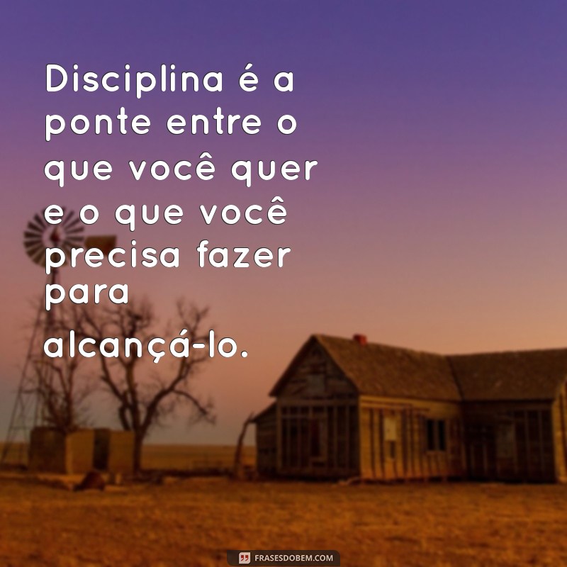 disciplina é fazer consistentemente o que você não quer para ter o que quer Disciplina é a ponte entre o que você quer e o que você precisa fazer para alcançá-lo.