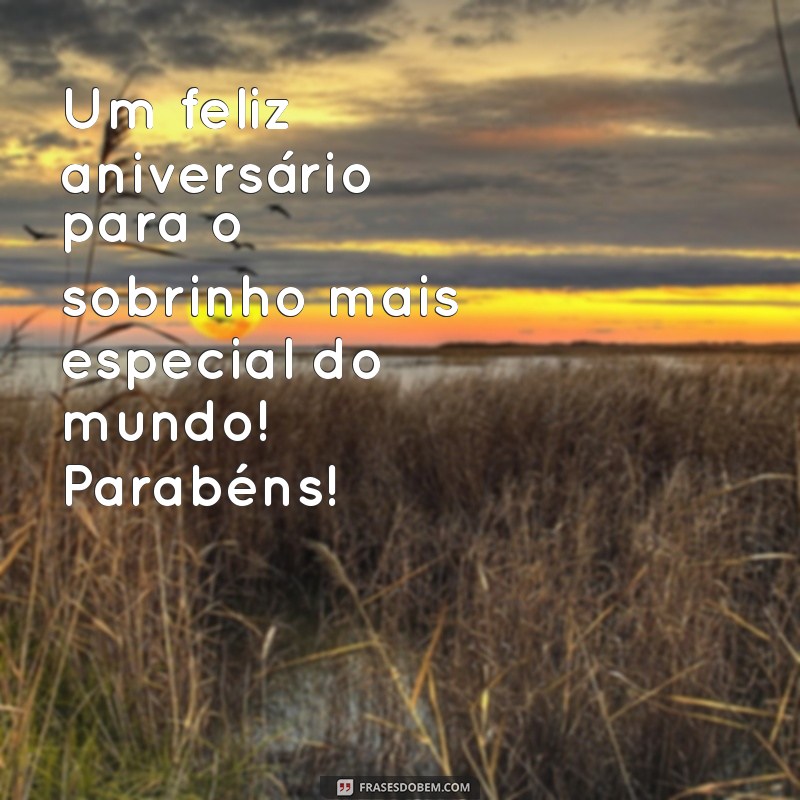 Mensagens e Frases de Parabéns para Sobrinho Amado: Celebre com Amor! 