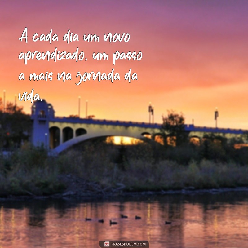 a cada dia um novo aprendizado A cada dia um novo aprendizado, um passo a mais na jornada da vida.