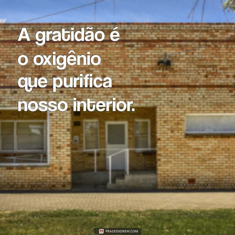 Frases Inspiradoras com a Palavra Oxigênio: Renove Seu Espírito 