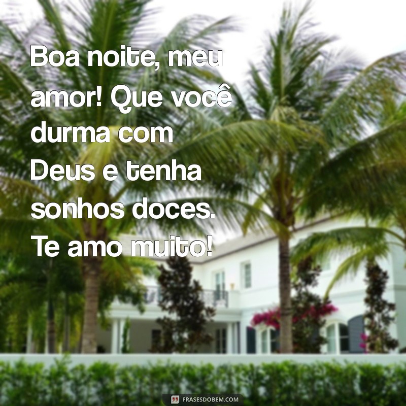 boa noite meu amor dorme com deus te amo Boa noite, meu amor! Que você durma com Deus e tenha sonhos doces. Te amo muito!