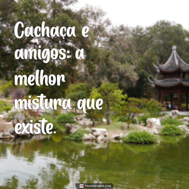 Frases Engraçadas e Inspiradoras para Cachaceiros: Celebre com Humor! 