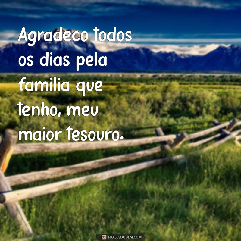 frases de gratidão pela minha família Agradeço todos os dias pela família que tenho, meu maior tesouro.