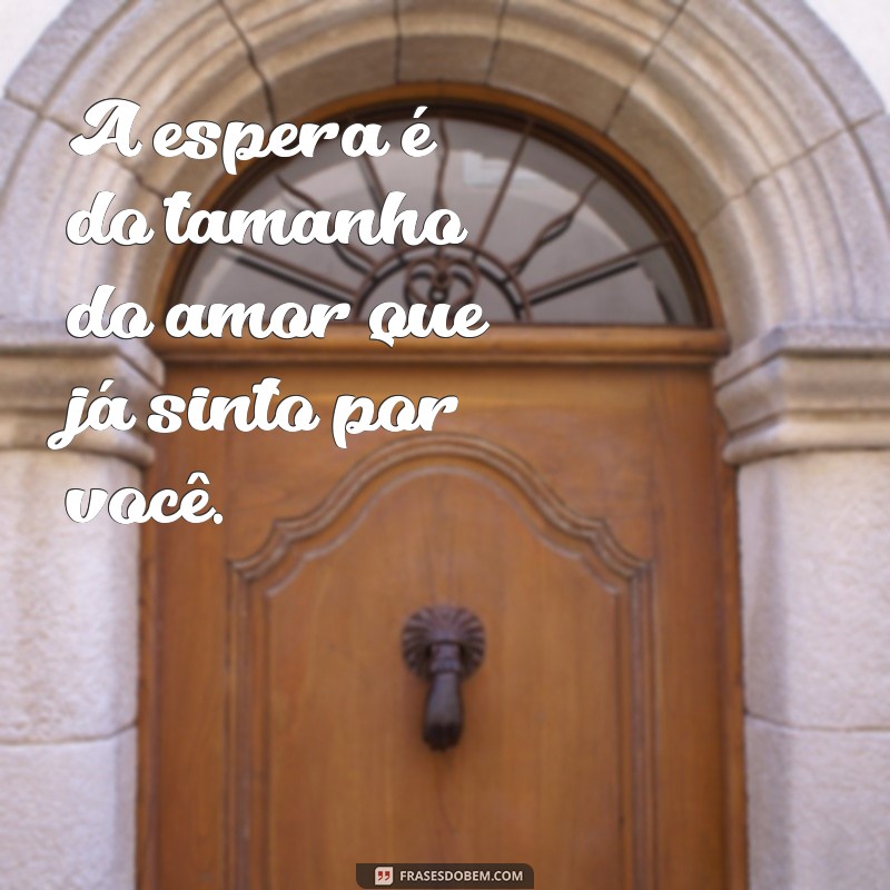 frases para ensaio gestante A espera é do tamanho do amor que já sinto por você.