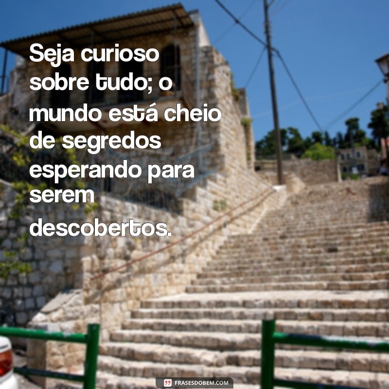 Frases Curiosas para Status: Inspire e Intrigue Seus Amigos! 